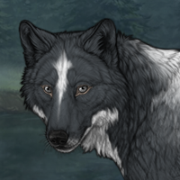 Wolf Headshot