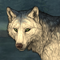 Wolf Headshot