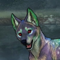 New Puppy WTS Headshot