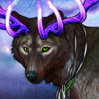 Forestspirit Headshot