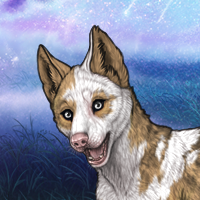 Piebald: Torn Headshot