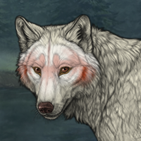 Wolf Headshot