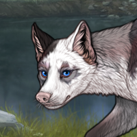 Lavender Headshot