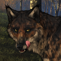 Wolf Headshot