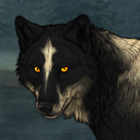 Wolf Headshot