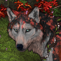 Magnolia Headshot