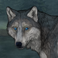 New wolf Headshot