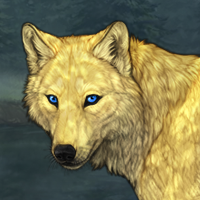 ⱽᴬᴿᴳ Sun Wolf Headshot