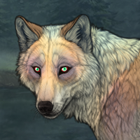 Spirit of the Woods Headshot