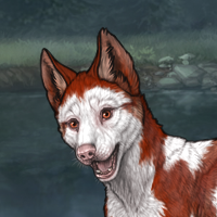 Piebald: Frontal Headshot