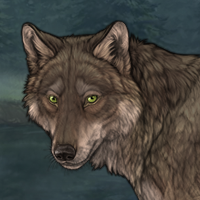 Wolf Headshot