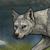 SilverPaw Headshot