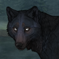 Blueschist Female Headshot