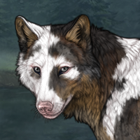 Slate Pie Headshot
