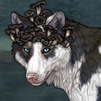 Tàirneanach Headshot