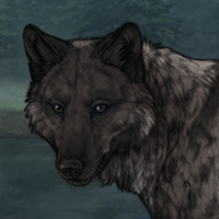 GreyGhost Headshot