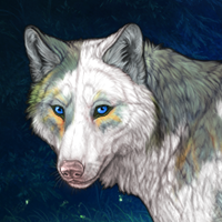 Wolf Headshot