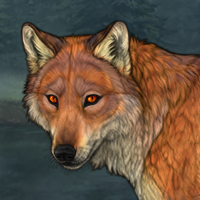fox eyed fox Headshot