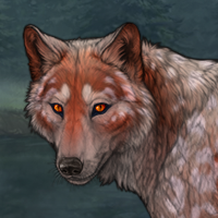⭐ Halimede Headshot