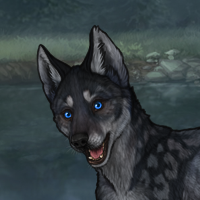 Blueschist Chase Headshot