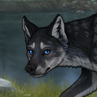 Blueschist Chase Headshot