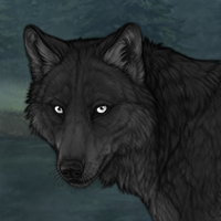 Skoll Headshot