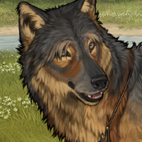 Wolf Headshot