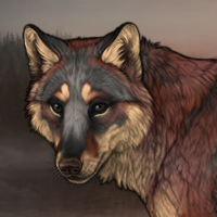 Kelpie Headshot