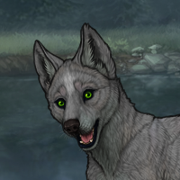 New Runt Puppy Headshot