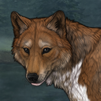 Stagpelt Headshot