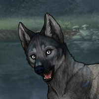 Biotite 7M Wolv Vixen Headshot