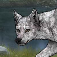 Bhuta | Black Merle Headshot