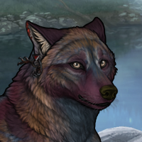 Feyra Headshot