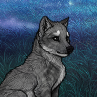 chase Headshot