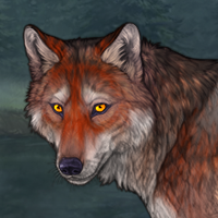 Copperfrost Headshot