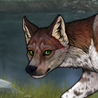 Piebald: Zerdava Headshot