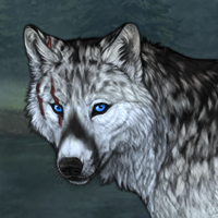 Wolf Headshot