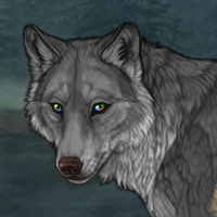 Kelpie Headshot