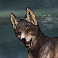 Enclave Pup Headshot