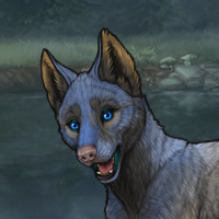 Bluepup Headshot