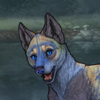 Bluepup Headshot