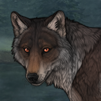 Iris Headshot