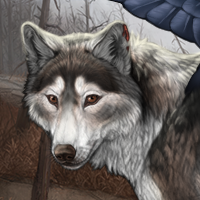 Wolf Headshot