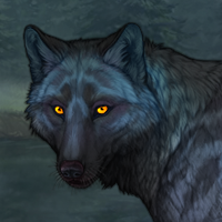 Bluey Headshot