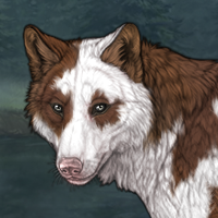 (A) Apaloosa Headshot