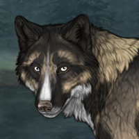 Wolf Headshot