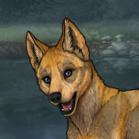 Sulphur Puppy - 5M Headshot