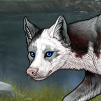 Piebald Torn Headshot