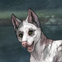 Howlite Piebald Headshot