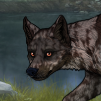 ○F Dravite MerWinOpo stal Headshot